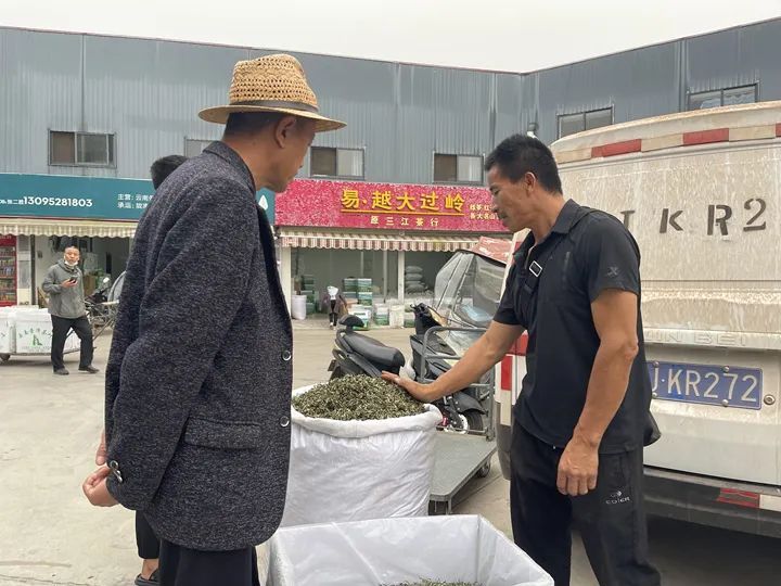 关于普洱国际茶城:春茶新上市 交易热起来的信息(3)