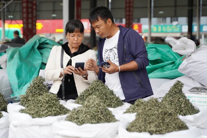 关于普洱国际茶城:春茶新上市 交易热起来的信息