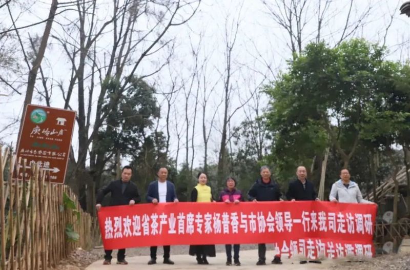 有关于赣鄱 · 茶情，各地齐发力 上下一心开“春”局的消息(3)