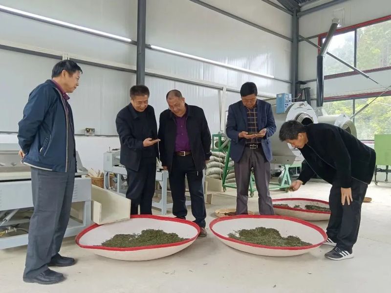 有关于赣鄱 · 茶情，各地齐发力 上下一心开“春”局的消息(9)