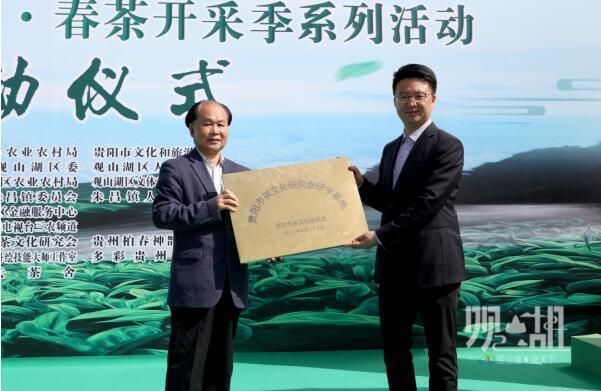 关于“美美观山湖·春茶开采季”系列活动正式启动的新闻(9)