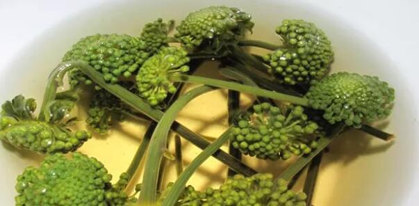 上火了喝什么茶降火(1)