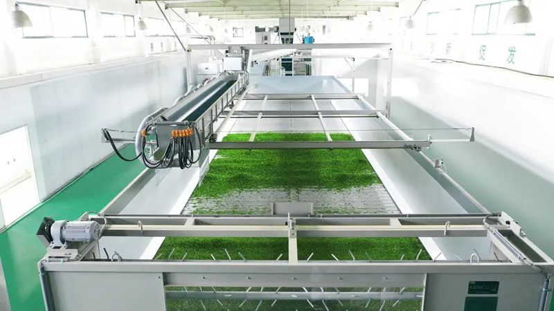 关于未来4年,湖北茶产业“高飞”应瞅准这3大方向的新闻(5)