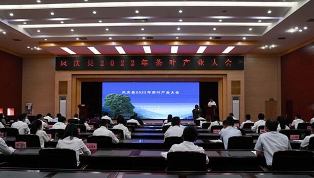 关于云南凤庆:“点绿成金”产业美 万顷茶山滇红秀的内容(3)