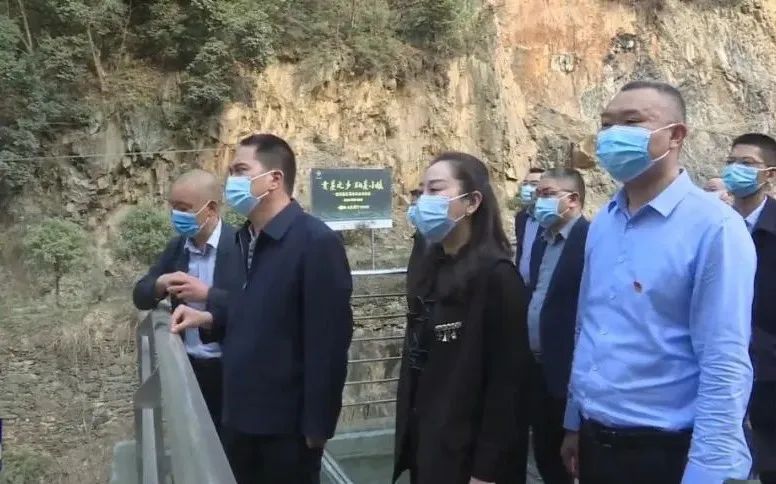有关于惠军民到焕古、东木调研检查乡村振兴、 春茶生产、疫情防控等工作的内容