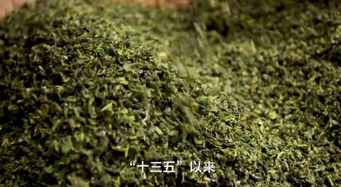 有关于“百县·百茶·百人”活动宣传片正式上线的新闻(1)