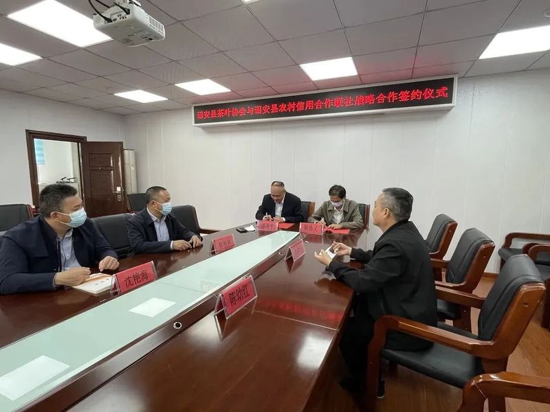 关于解决茶企资金困难,诏安县茶业协会采取哪些举措?的相关内容