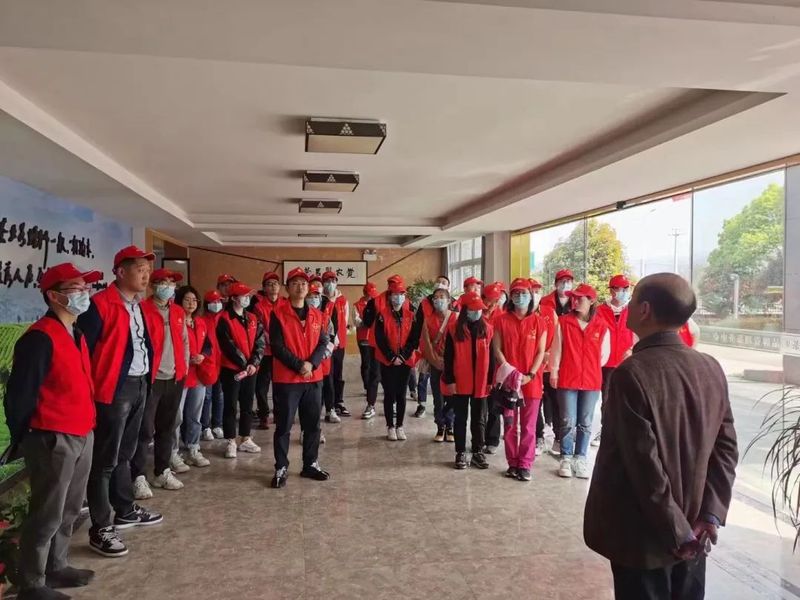 关于上虞区农业农村局青年干部实训班“采茶助农”在章镇上虞茶场举行的相关内容(1)