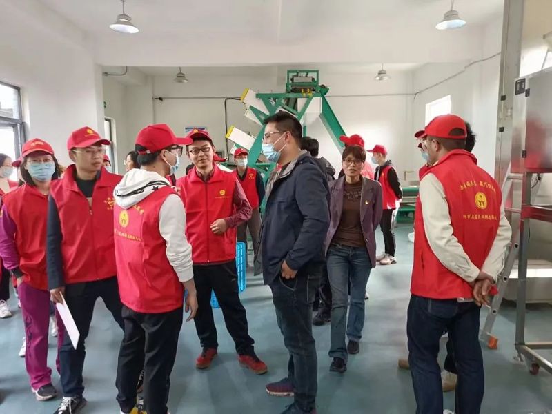 关于上虞区农业农村局青年干部实训班“采茶助农”在章镇上虞茶场举行的相关内容(12)