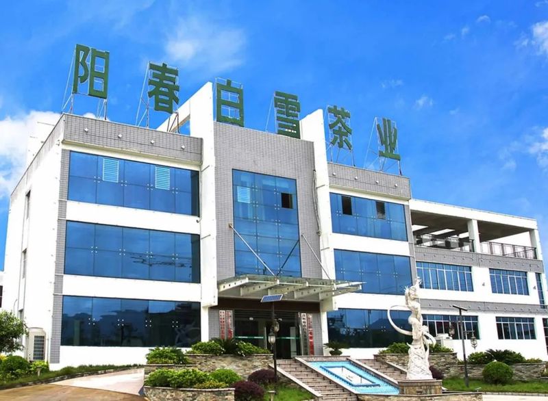 关于湄潭阳春白雪茶业现场展示非遗技艺的内容(3)