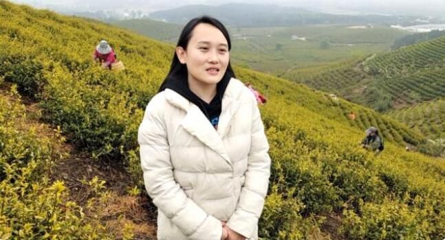 关于安福甘洛:春日采茶忙 千亩茶园成村民“绿色银行”的相关信息(3)