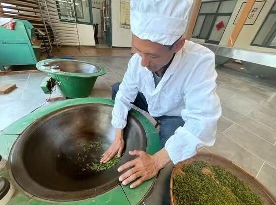 有关于南茶北引成就日照闪亮“金名片”的内容(1)