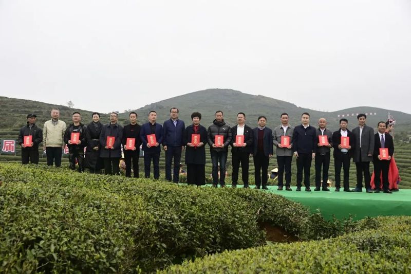 有关于开茶喽！福鼎“云”上开茶！的消息(4)