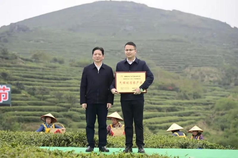 有关于开茶喽！福鼎“云”上开茶！的消息(3)