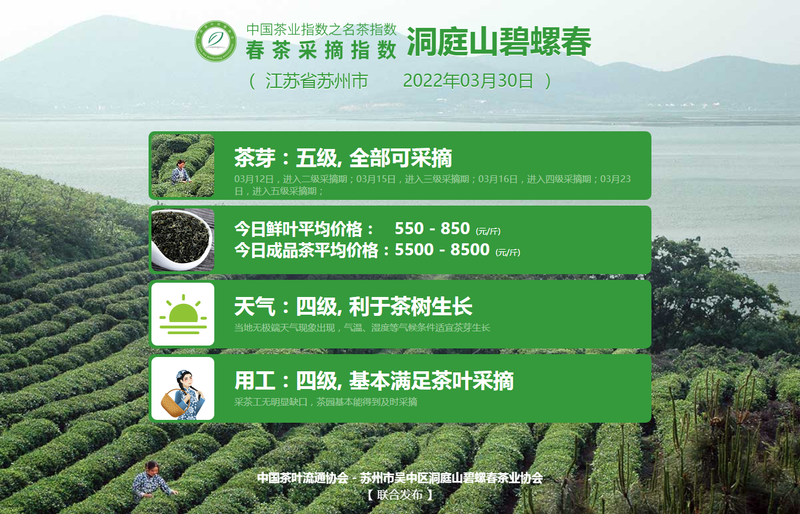 有关于春茶采摘指数：多地名茶已进入批量采摘期的相关内容(6)