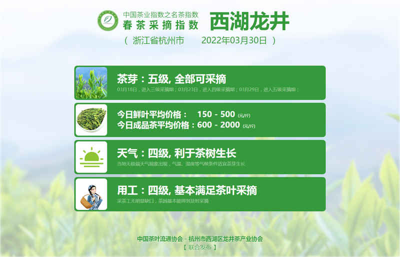 有关于春茶采摘指数：多地名茶已进入批量采摘期的相关内容(2)