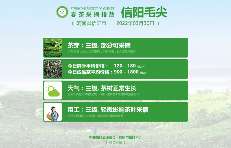 有关于春茶采摘指数：多地名茶已进入批量采摘期的相关内容(1)