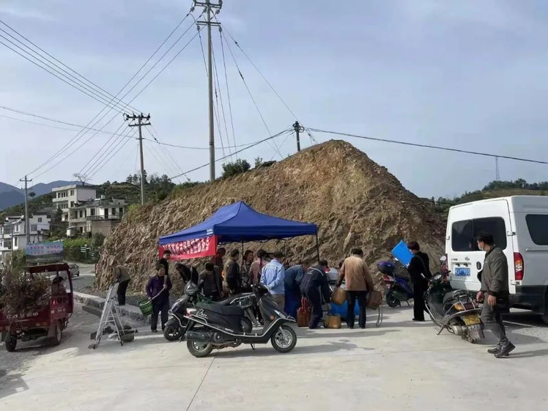 关于网格包保 凭卡售茶 歙县推进茶叶市场管控全程化的相关内容(2)