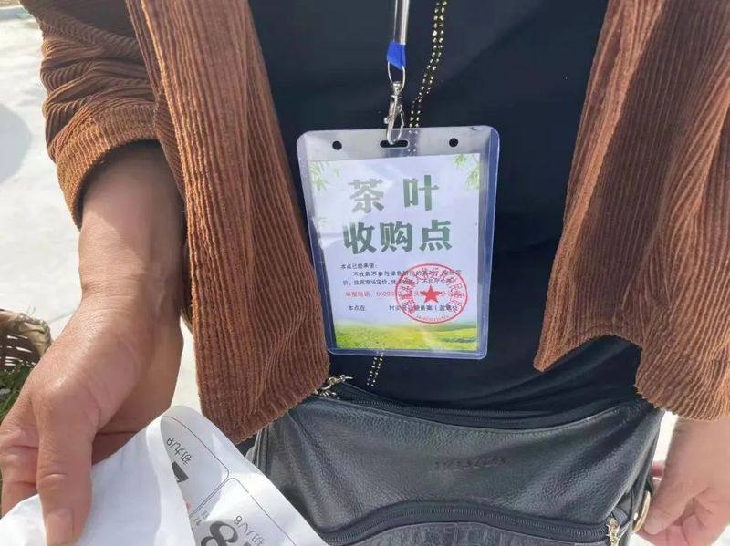 关于网格包保 凭卡售茶 歙县推进茶叶市场管控全程化的相关内容(1)