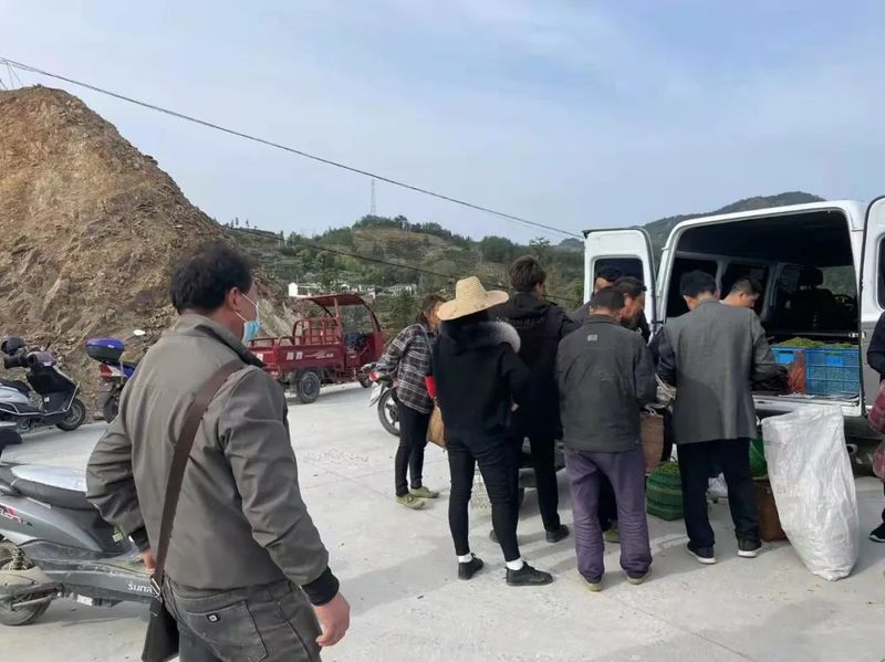 关于网格包保 凭卡售茶 歙县推进茶叶市场管控全程化的相关内容(3)