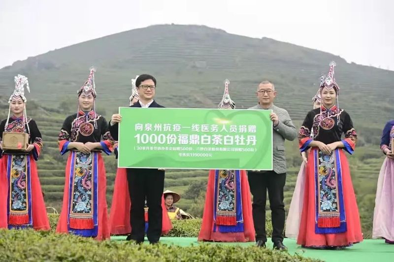 有关于福鼎白茶开茶节:以一片叶子富一方百姓的信息