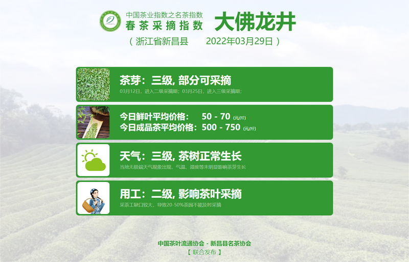 有关于春茶采摘指数:西湖龙井进入五级采摘期的内容(4)