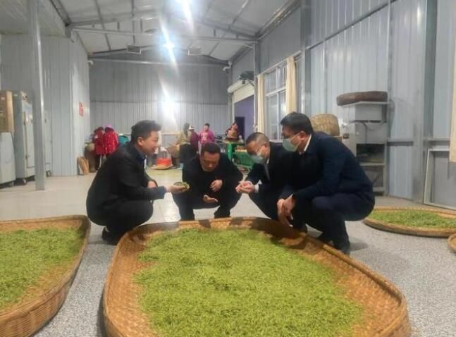 关于竹溪县:汇湾镇茶园春茶俏销的相关内容(1)