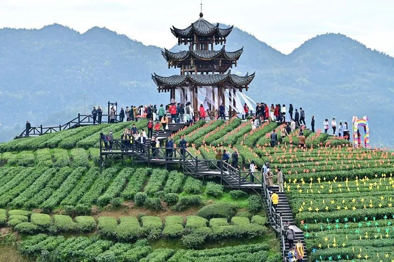 关于 “浪漫宣恩 茶贡天下”2022伍家台贡茶文化节暨贡茶开市活动启幕的最新消息(2)