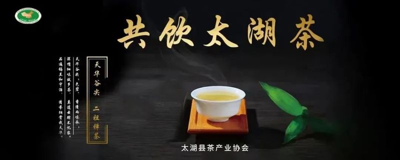 关于太湖举办茶叶加工制作技术培训会的消息