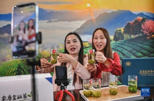 有关于陕西平利:以茶致富 因茶兴业的相关信息(1)