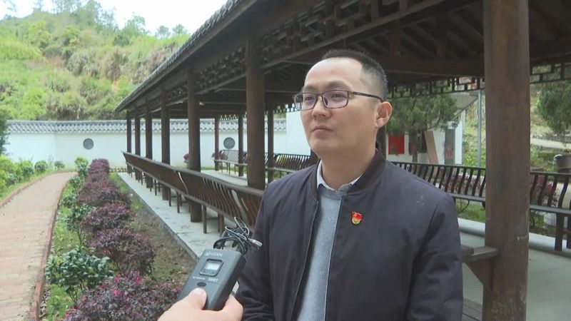 有关于水墩镇发展茶产业助推乡村振兴的最新消息(2)