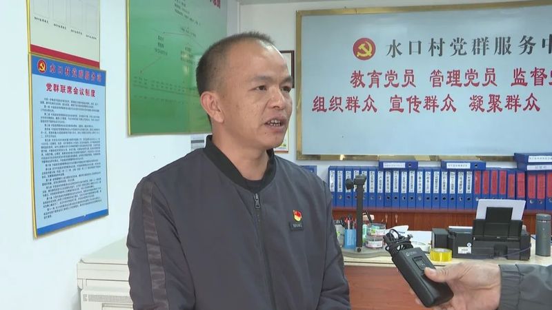 有关于水墩镇发展茶产业助推乡村振兴的最新消息(1)