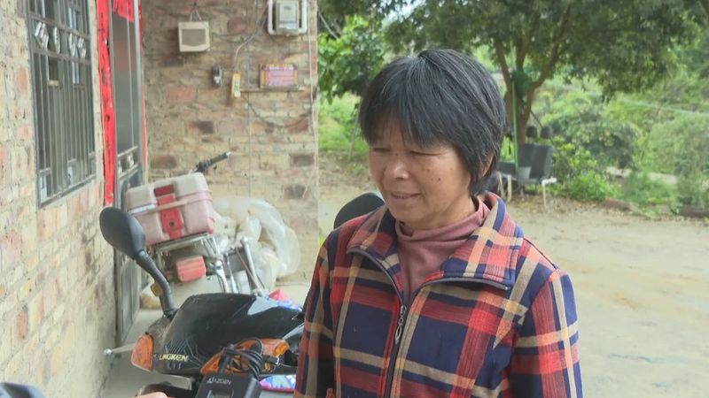 有关于水墩镇发展茶产业助推乡村振兴的最新消息(4)