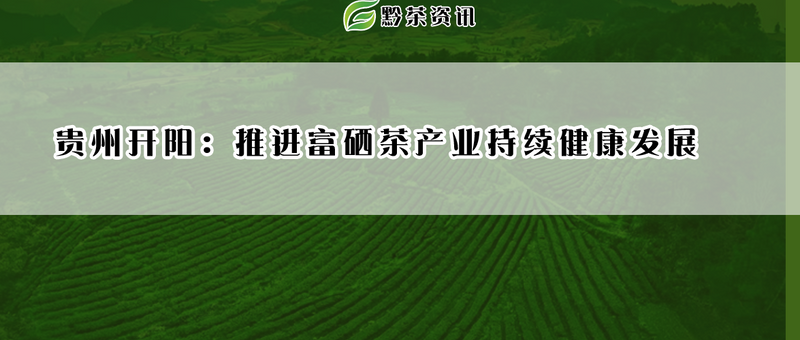 有关于贵州开阳:推进富硒茶产业持续健康发展的资讯