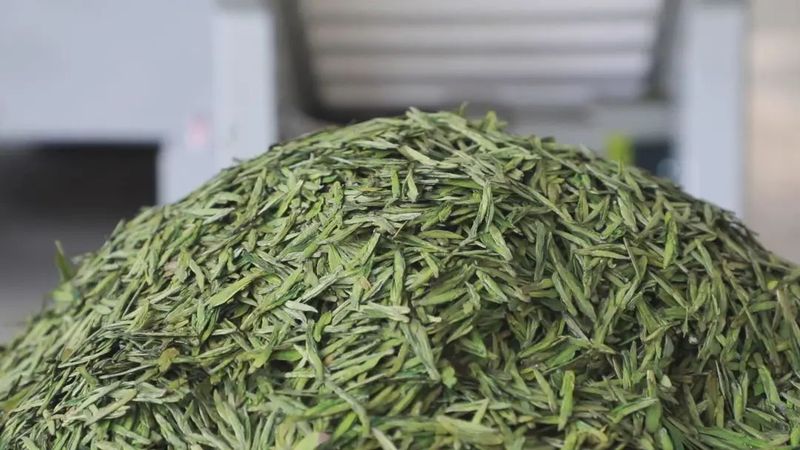 有关于贵州开阳:推进富硒茶产业持续健康发展的资讯(4)