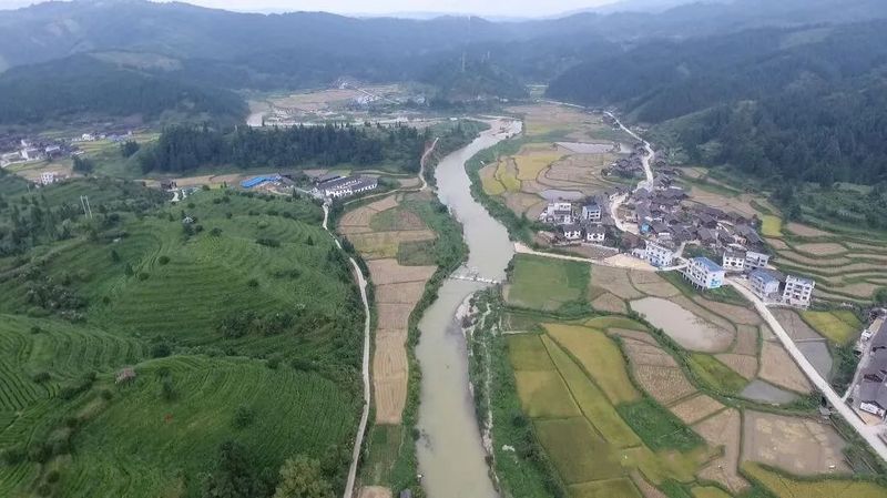 有关于罗里乡:做大做强茶产业 全力助推乡村振兴的相关内容(6)