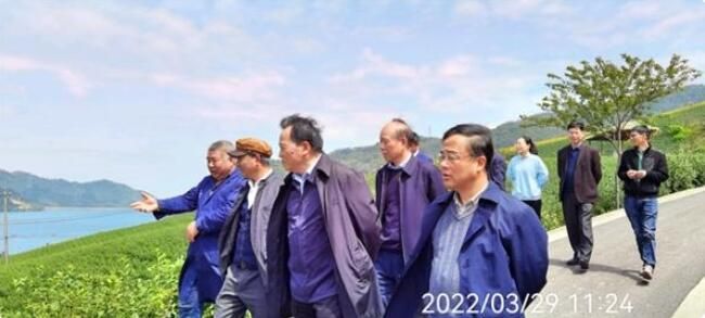 有关于讲好宁波绿茶故事展示宁波绿茶形象的相关内容(5)
