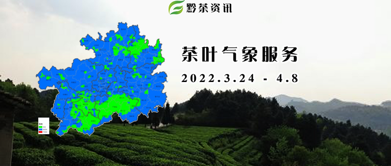 关于贵州省春茶采摘天气预报(三)的内容