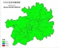 关于贵州省春茶采摘天气预报(三)的内容(13)