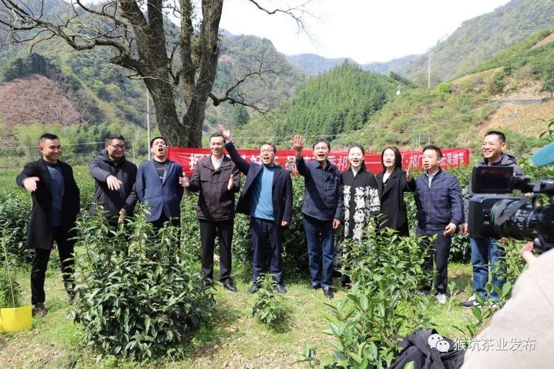关于探寻源头好茶品味高香祁红:祁眉·祁门红茶云采摘节圆满举行的新闻