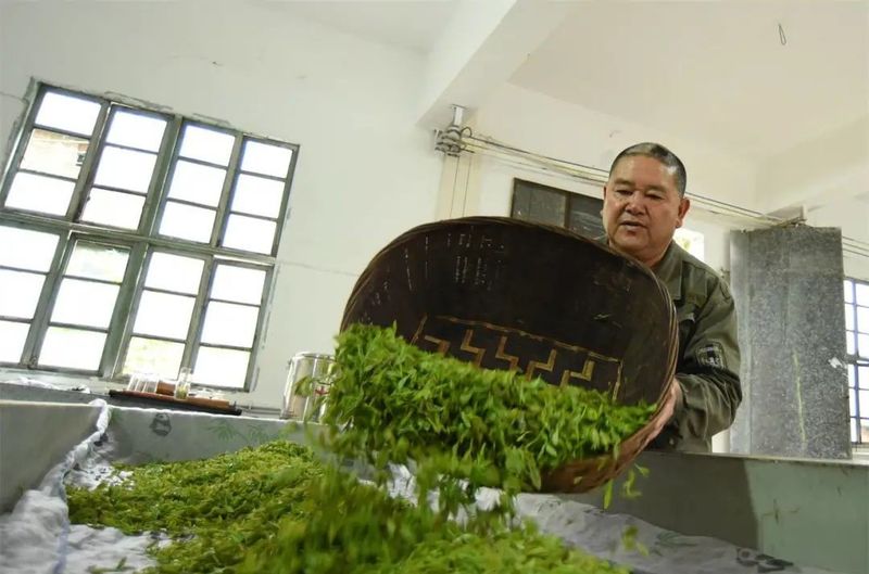 关于罗甸:抢采“明前茶” 助农保增收的信息(4)