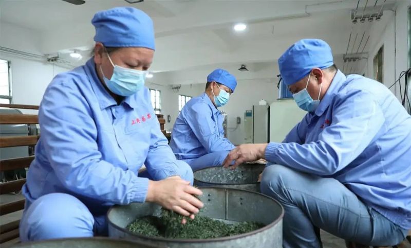 关于罗甸:抢采“明前茶” 助农保增收的信息(5)