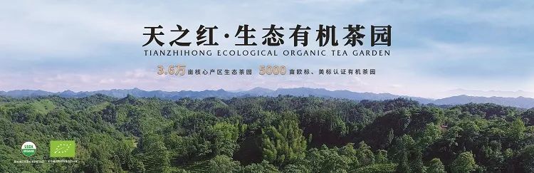 有关于传统名茶如何接轨新时代?——以祁门红茶为例的最新消息(4)