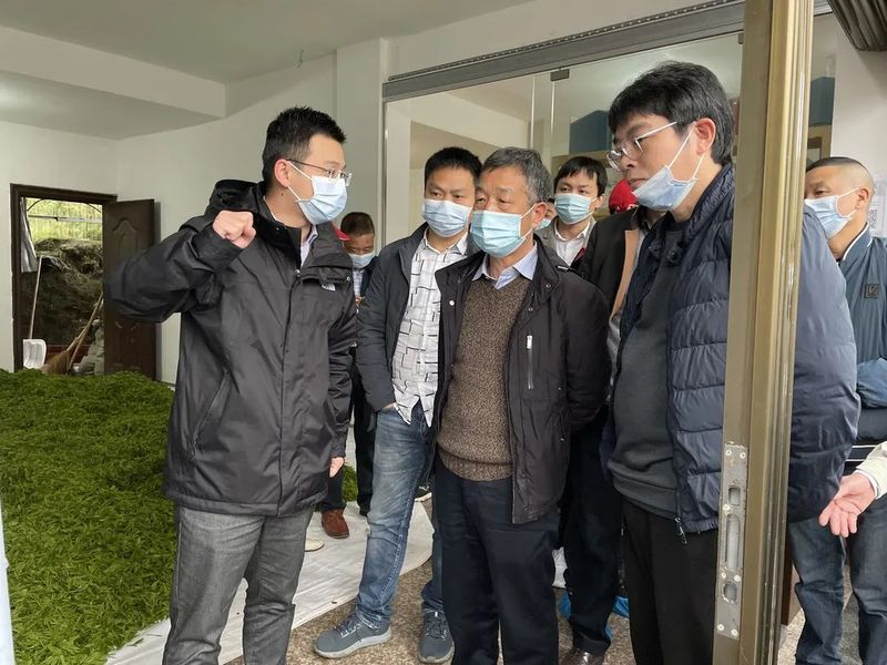 有关于福鼎市茶业协会党支部深入管阳镇唐阳村,调研“茶园绿色防控,整村推进,合作共赢”管理模式的资讯