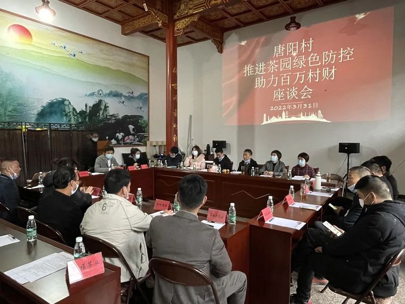 有关于福鼎市茶业协会党支部深入管阳镇唐阳村,调研“茶园绿色防控,整村推进,合作共赢”管理模式的资讯(4)