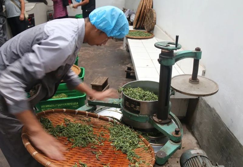 关于墨江：24.6万亩茶园吐新芽 实现农业产值2.369亿元的资讯(4)