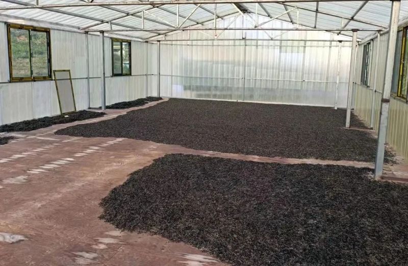 关于墨江：24.6万亩茶园吐新芽 实现农业产值2.369亿元的资讯(5)