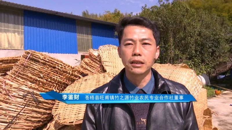 有关于广西茶界：六堡茶专题片 一只竹箩：凝聚六堡醇厚装载茶农幸福的最新消息(4)