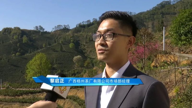 有关于广西茶界：六堡茶专题片 一只竹箩：凝聚六堡醇厚装载茶农幸福的最新消息(6)