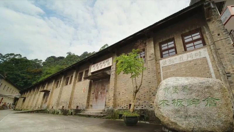 有关于广西茶界：六堡茶专题片 一只竹箩：凝聚六堡醇厚装载茶农幸福的最新消息